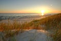 Dunes on the coast of the Baltic Sea, sunrise on the beach on a summer day. Royalty Free Stock Photo